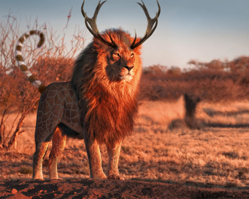 een leeuw met een hertengewei